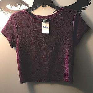 Sexy Shimmering Crop Top!